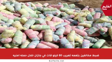 ضبط مخالفين بتهمة تهريب 80 كيلو قات في جازان خلال حملة أمنية